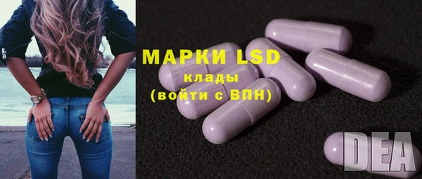 ПСИЛОЦИБИНОВЫЕ ГРИБЫ Абаза