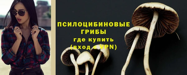 ПСИЛОЦИБИНОВЫЕ ГРИБЫ Абаза