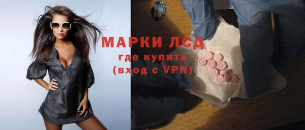 ПСИЛОЦИБИНОВЫЕ ГРИБЫ Абаза