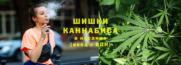 ПСИЛОЦИБИНОВЫЕ ГРИБЫ Абаза