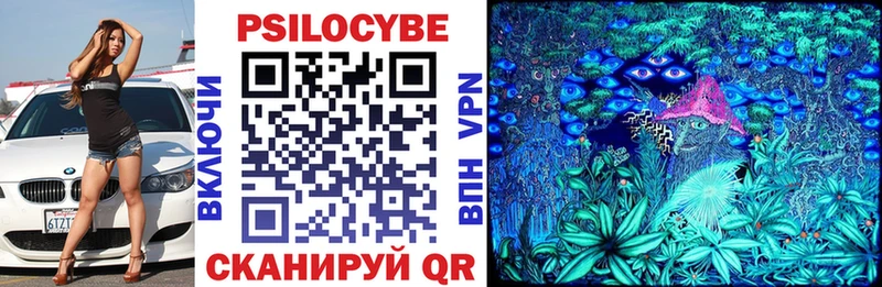 Псилоцибиновые грибы Psilocybe наркошоп Нариманов